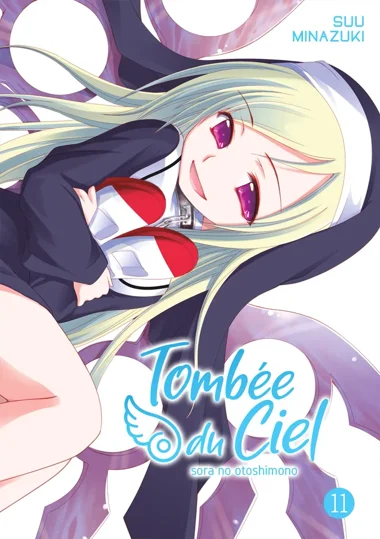Tombée du Ciel T11
