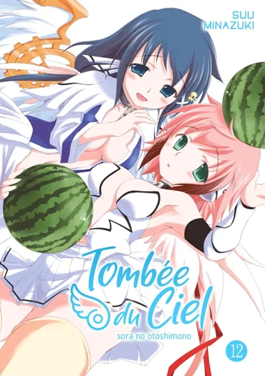 Tombée du Ciel T12