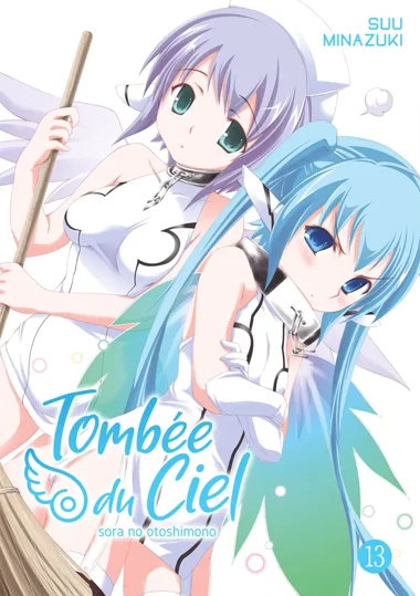 Tombée du Ciel T13