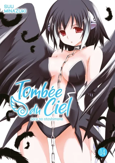 Tombée du Ciel T14