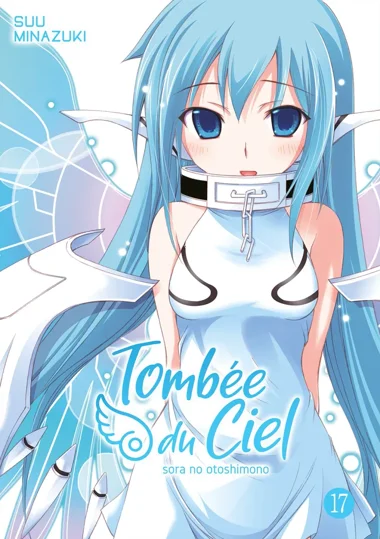 Tombée du Ciel T17