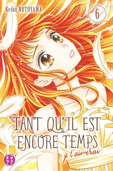 Tant qu'il est encore temps (Je t'aimerai) T06