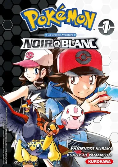 Pokémon Noir & Blanc Double T01