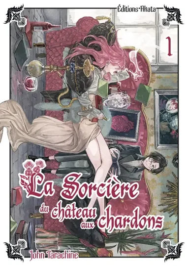 La sorcière du Chateau aux Chardons T01