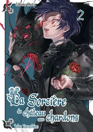 La sorcière du Chateau aux Chardons T02