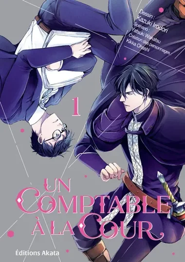 Un comptable à la cour T01