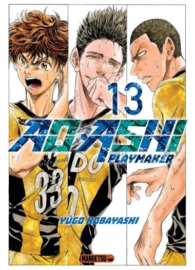Ao Ashi T13