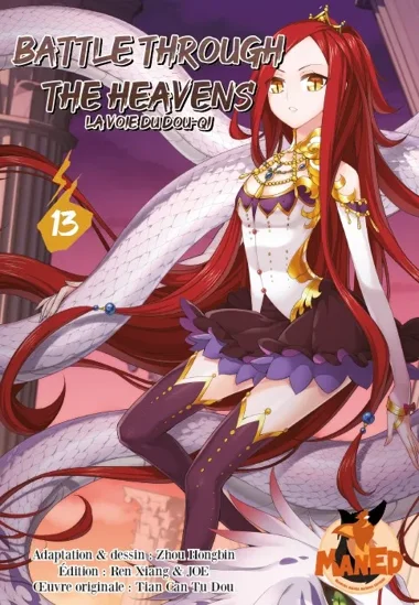 Battle through the heavens T13