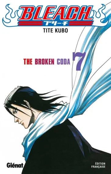 Bleach T07