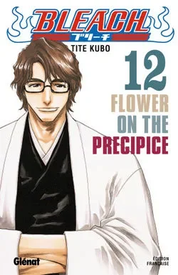 Bleach T12
