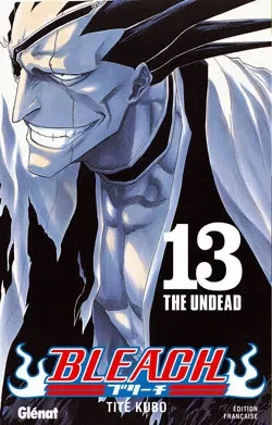 Bleach T13