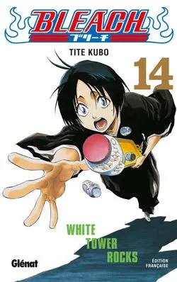 Bleach T14