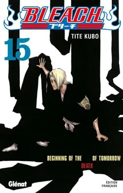 Bleach T15