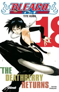 Bleach T18