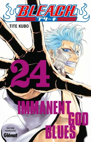 Bleach T24