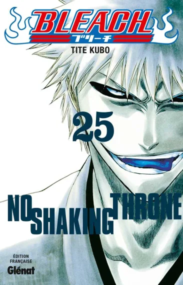 Bleach T25