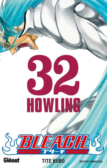 Bleach T32