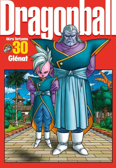Dragon Ball T30