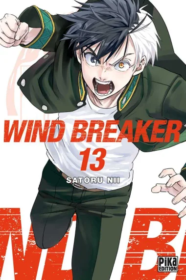 Wind breaker T13