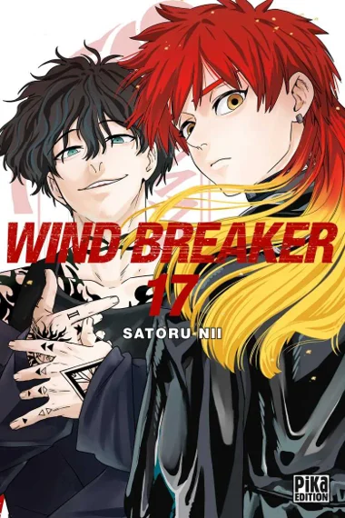 Wind breaker T17