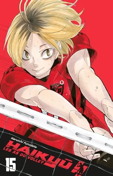 Haikyu!! T15