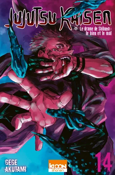 Jujutsu Kaisen T14