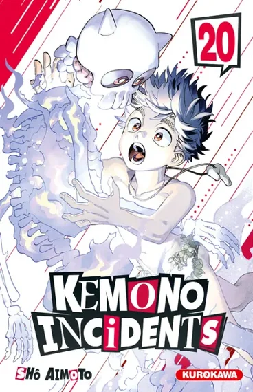 Kemono Incidents T20
